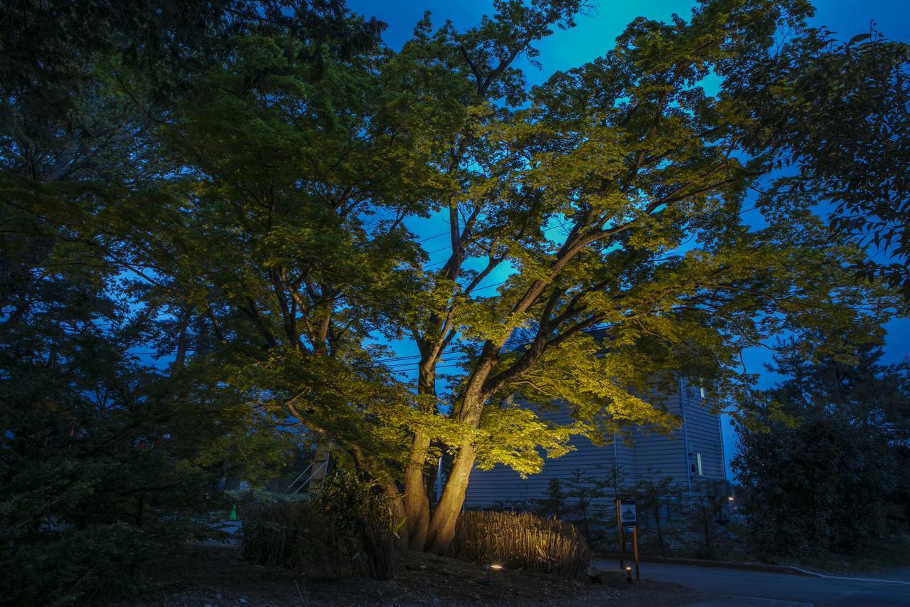 Villa Yushin Fujikawaguchiko Luaran gambar